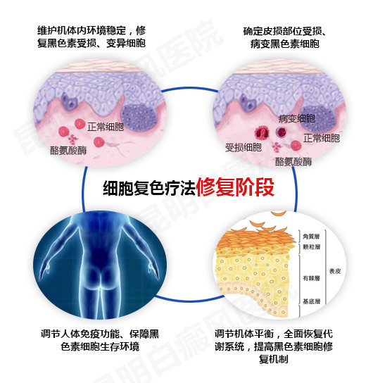 “细胞复色”疗法核心诠释