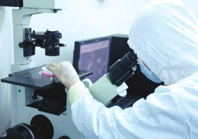 新浪网:白癜风的治疗方法推荐—细胞复色疗法