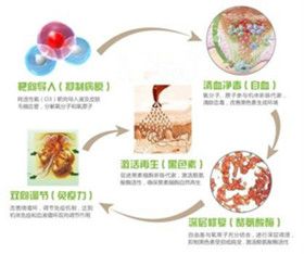 ZX-RI自血免疫双向调节疗法